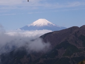 20230416fuji.jpg
