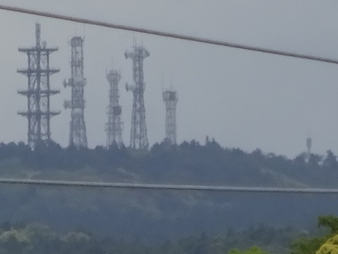 kaeri-ant.jpg