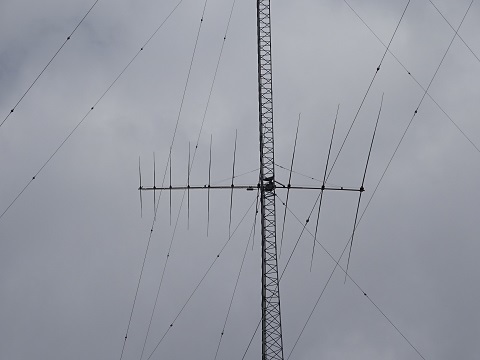 Image 25: 20230501ant-middle.jpg