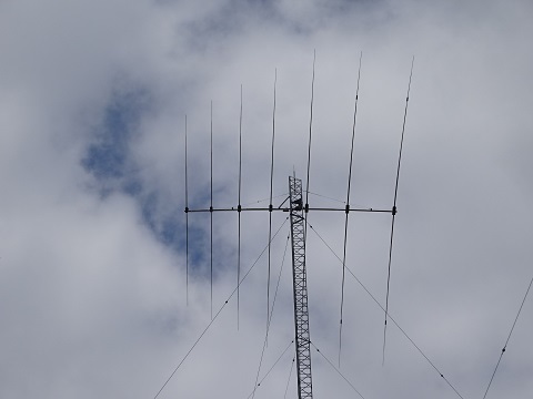 Image 24: 20230501ant-top.jpg