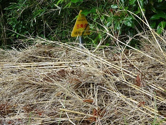 Image 18: 20230501nagaura-sankakuten.jpg