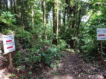 Image 49: 20230527minami-renrakuro.jpg