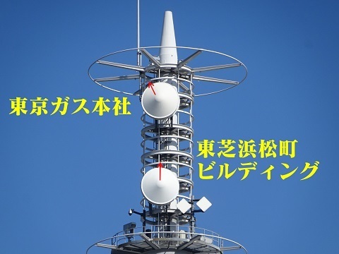 20230604bosaikyoten.jpg