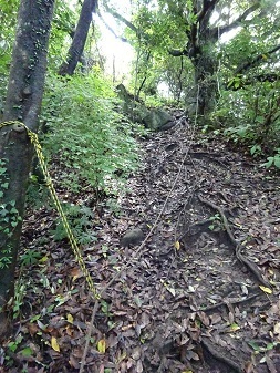20230703rope.jpg