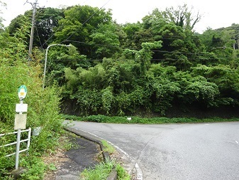 20230703sotono.jpg