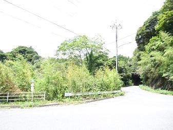 20230703sotono2.jpg