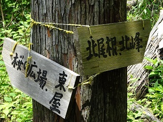 20230703tozando.jpg