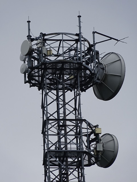 20230704ant-top.jpg