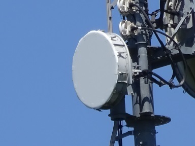 20230719kita-3.jpg