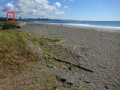 iki-kaigan.jpg