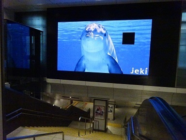iki-tokyo-display.jpg
