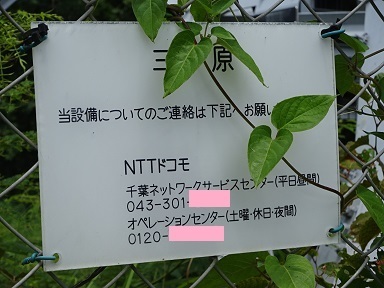 ntt-kyokuimeihyo.jpg