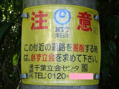tochu-ntt.jpg