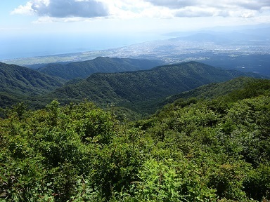 tozan-view-surugawan.jpg