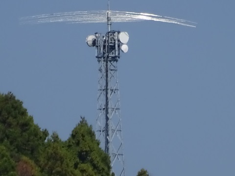 20231103tensen-embo-zoom.jpg