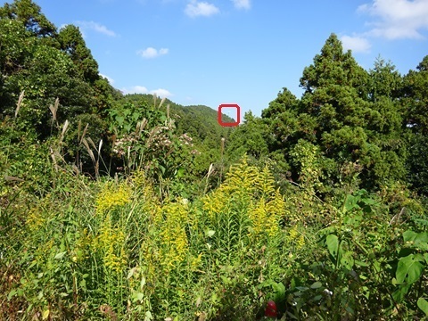 20231103tensen-embo.jpg