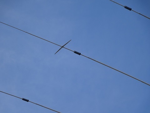 Image 16: 20231105coils.jpg