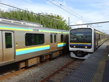 Image 26: 20231105kaeri-minamihara.jpg