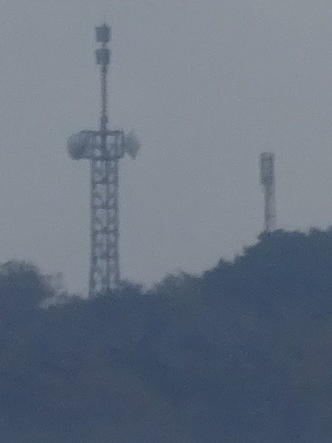 Image 30: 20231105tomisan.jpg