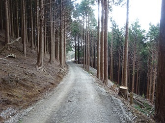 20240317gezan-rindo.jpg