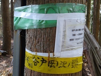 20240317gezan-yatonoatama.jpg