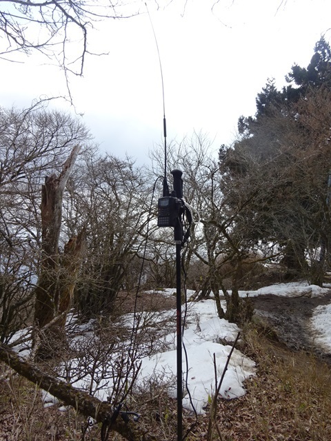 20240317rig.jpg