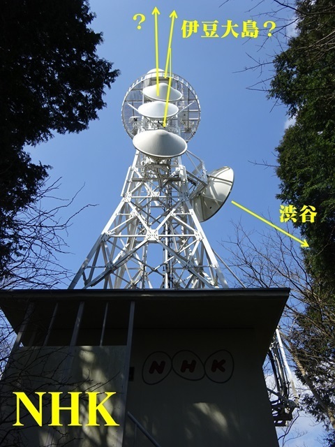 20240317tower-nhk.jpg