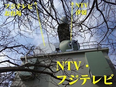 20240317tower-ntv-cx.jpg