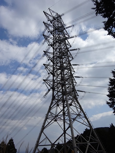 20240317tower-power.jpg