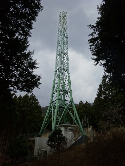 20240317tower-tokyo.jpg