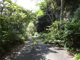 Image 12: 20240906iki-dirt.jpg