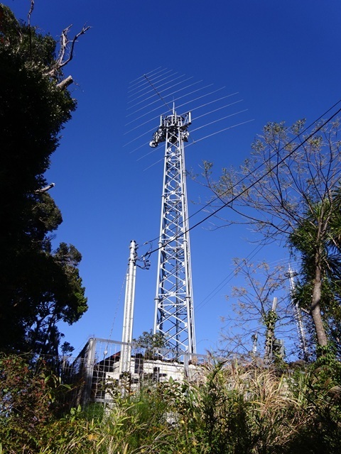Image 20: 202411130powerfeed.jpg