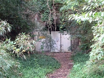 Image 14: 20241109iki-sanuki-tunnel.jpg
