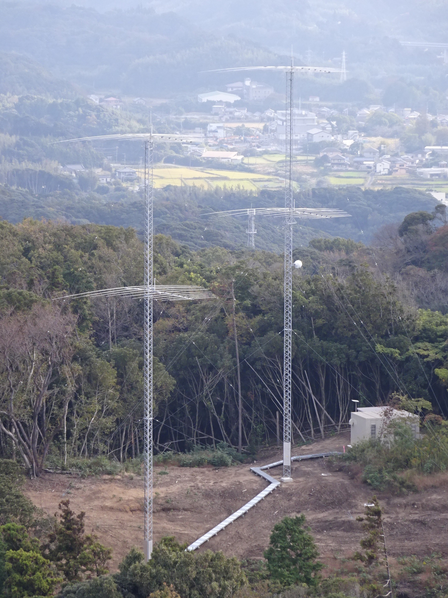 Image 36: 20241109logperi-lookdown.jpg