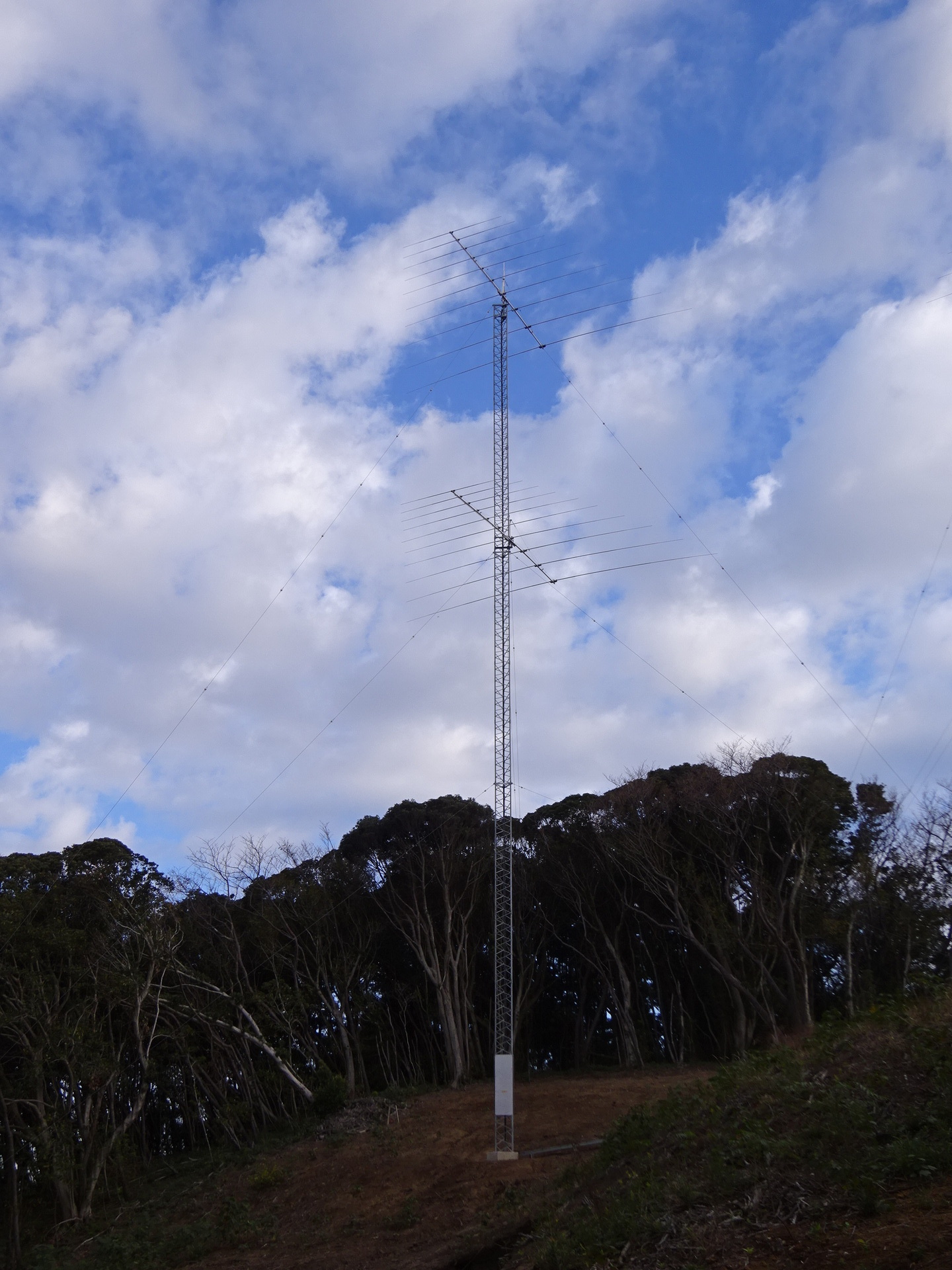 Image 17: 20241109tower-l.jpg