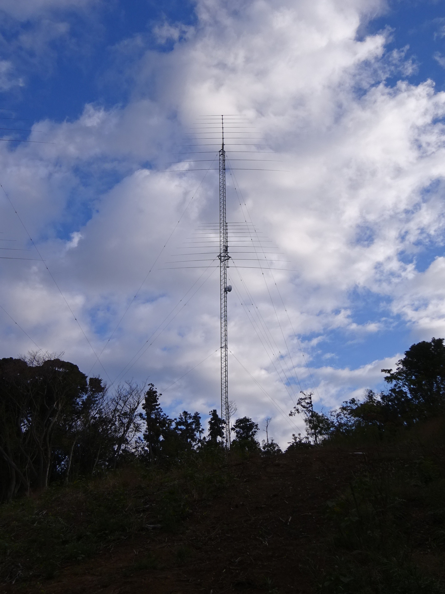 Image 18: 20241109tower-r.jpg