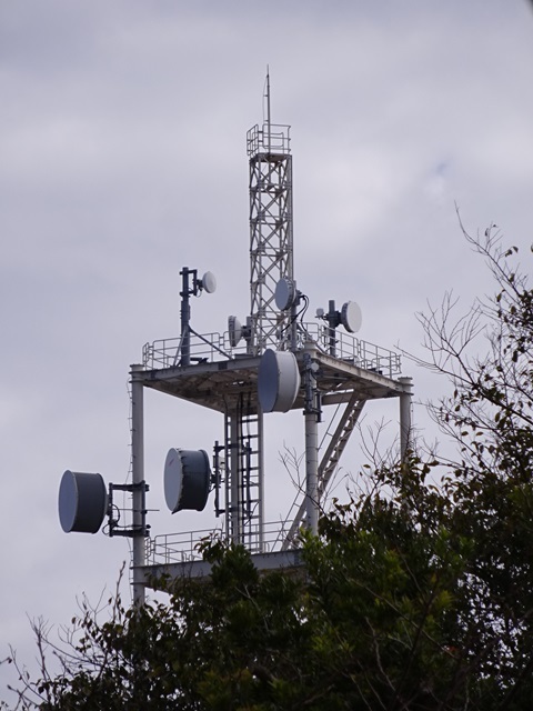 Image 14: 20241124maruyama-tower.jpg