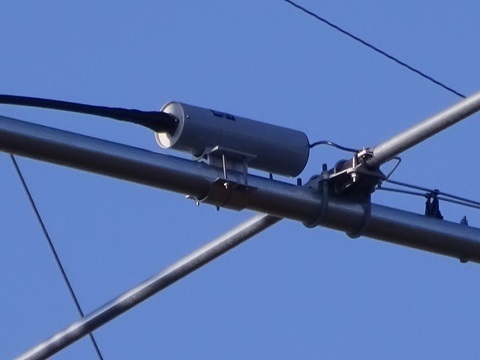 Image 24: 20241124yagi-feed.jpg