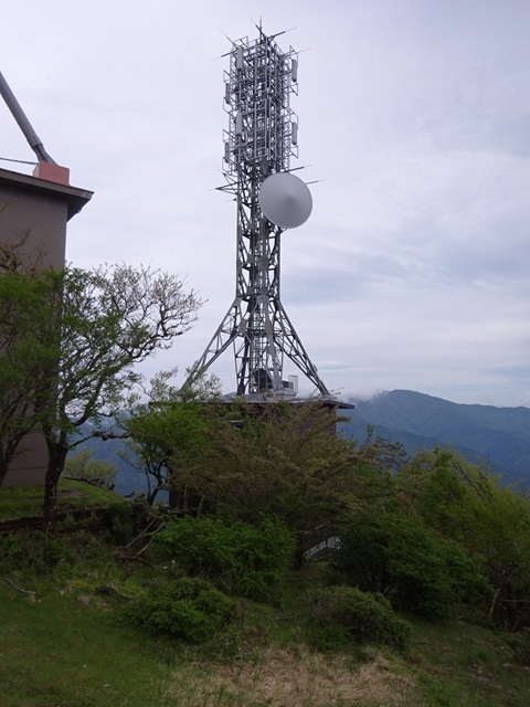 20250519fm-yokohama.jpg