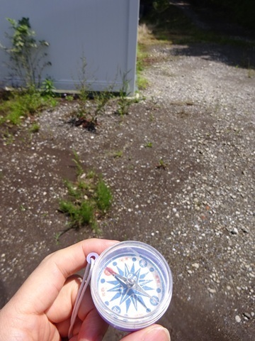Image 26: 20250601beam-compass.jpg