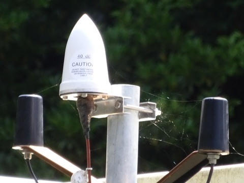 Image 35: 20250601gps-ants.jpg