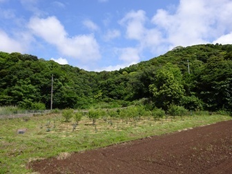 Image 16: 20250601iki-approach3.jpg
