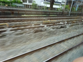 Image 48: 20250601kaeri-koji.jpg