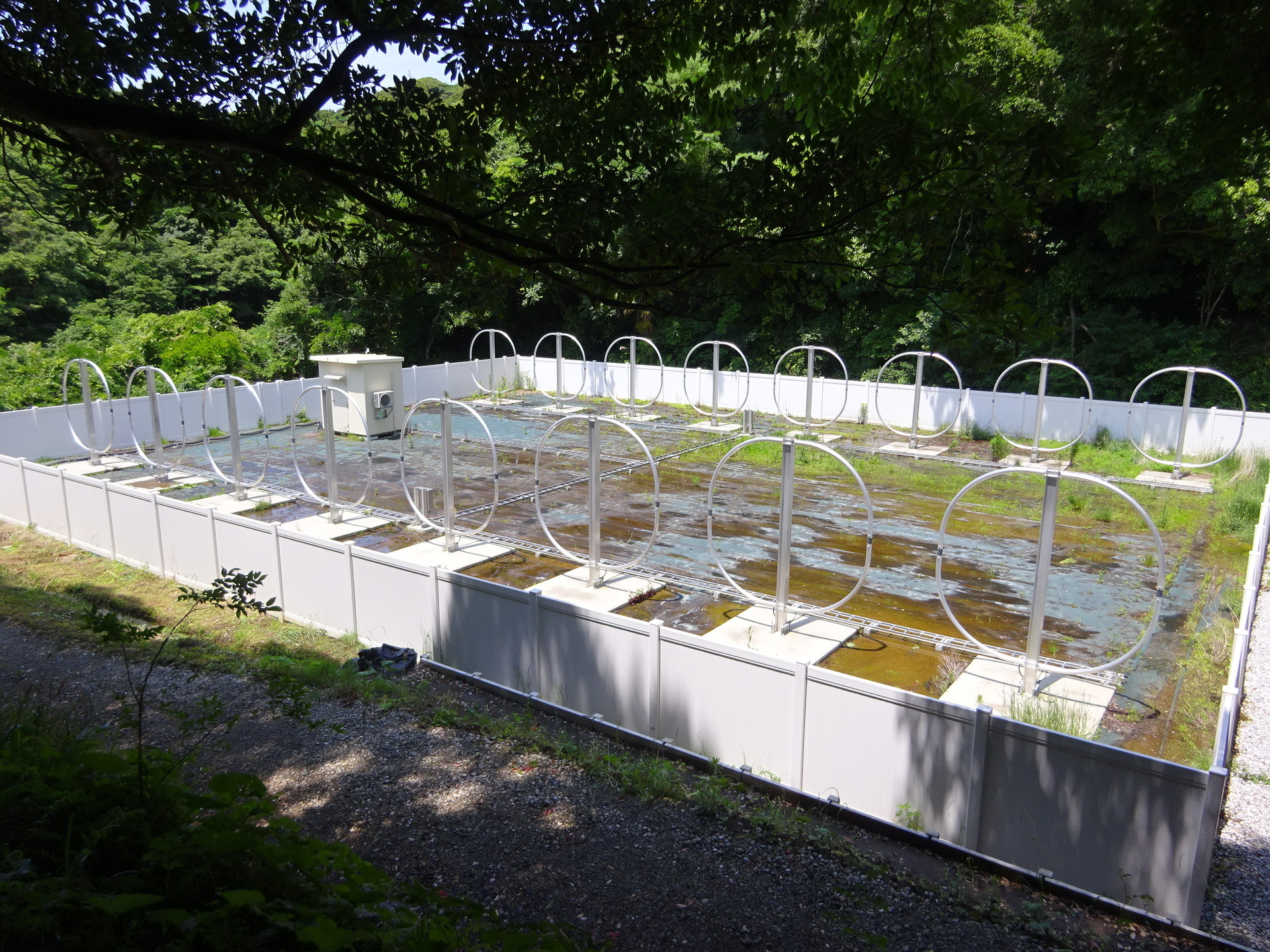 Maeda’s sixteen TCI receiving loops in two rows of eight, with the equipment shelter behind.
