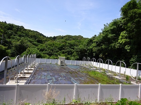 Image 28: 20250601vew-sw.jpg