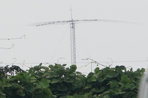 Image 15: 20250705oikomi1b.jpg