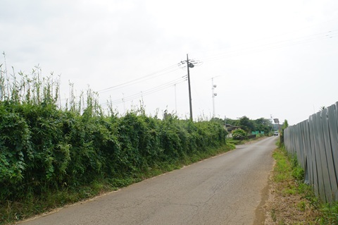 Image 16: 20250705oikomi2.jpg