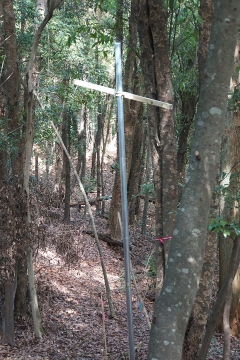 Image 29: 20250921mast.jpg