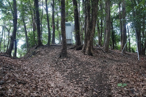 Image 22: 20250921neck ditch.jpg