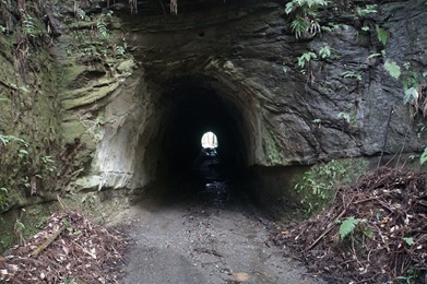 Image 8: 20250921nobori-tunnel1.jpg
